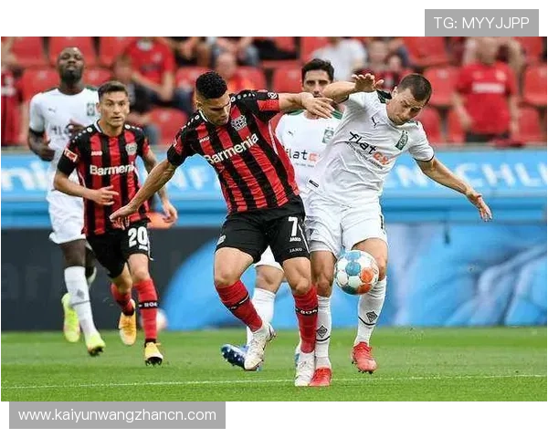 开云体育国际登录：最新版本更新内容及未来功能发展方向