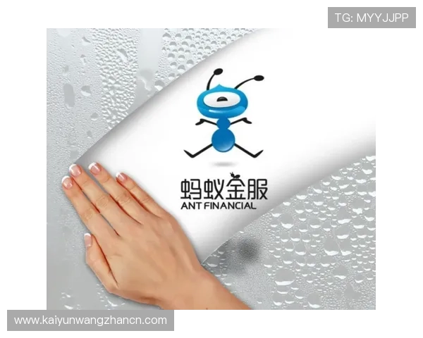 开云全站网站内容管理系统详解，轻松实现内容更新与维护