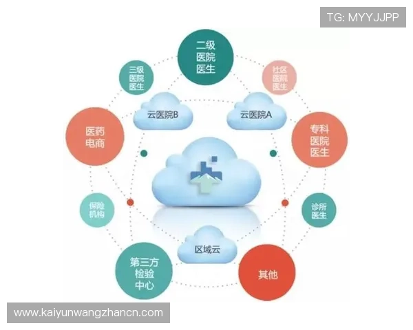 开云网络在医疗信息化建设中的安全保障措施与技术创新