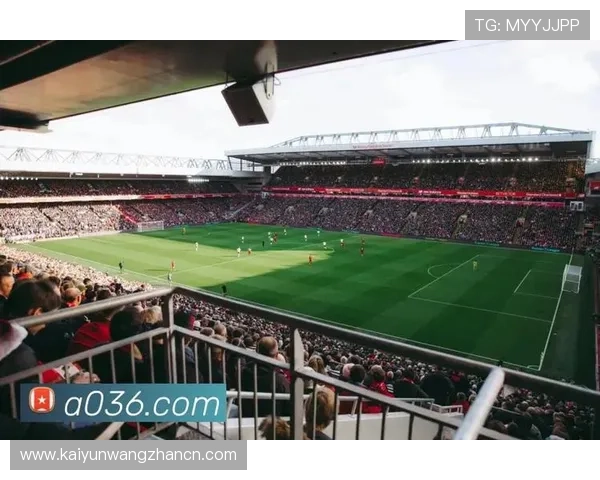 畅玩开云体育app，快速获取赛事资讯与私人定制服务